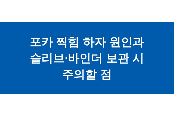 title_1771522173_2281