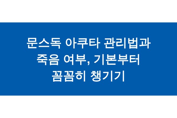 title_1771759129_1812